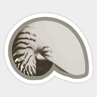 Nautilus Shell Sticker